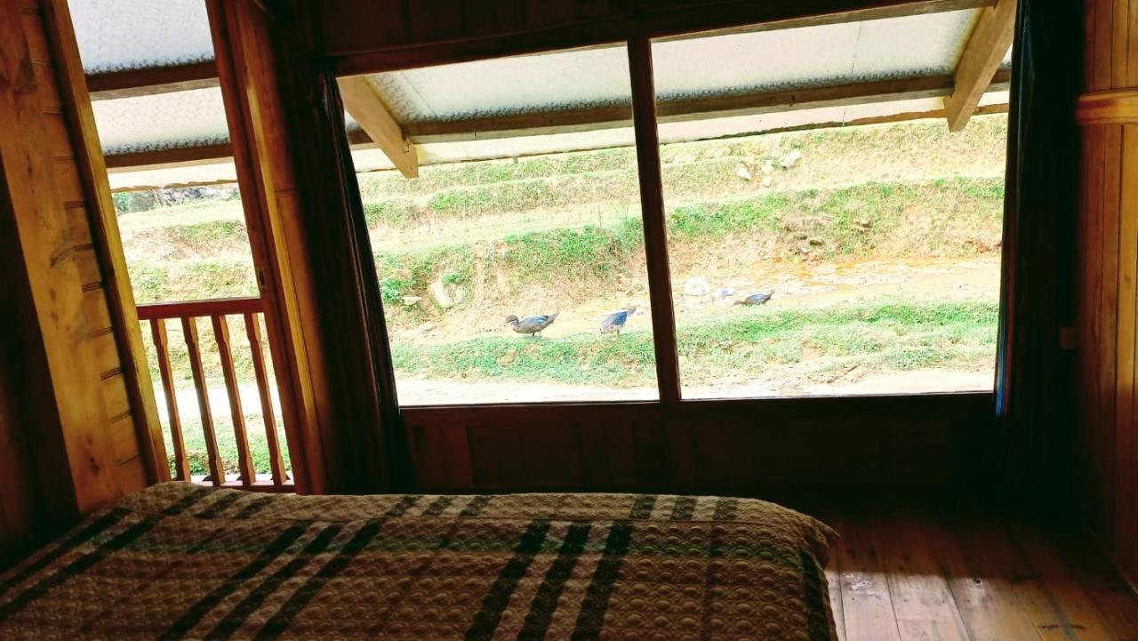 Madame View Homestay Sapa Exterior foto